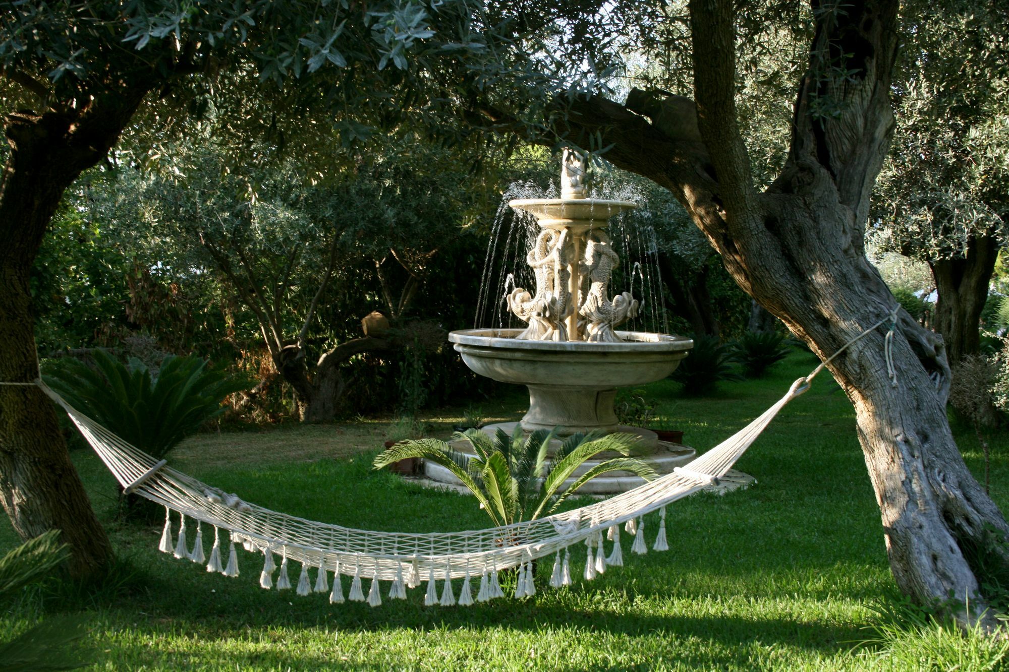 Residence Domus Cilento カステッラバーテ エクステリア 写真